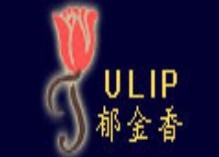 郁金香羽绒服加盟