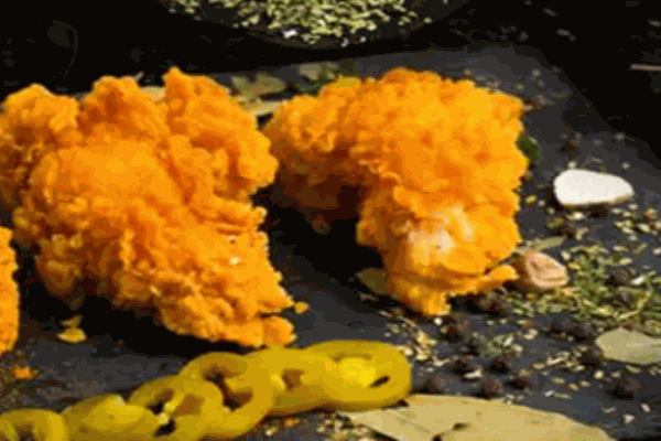 疯狂炸鸡