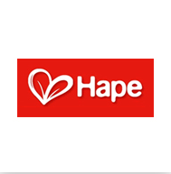 hape儿童玩具加盟