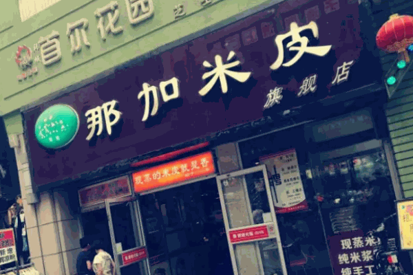 那加米皮