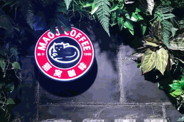 cattery猫窝咖啡馆