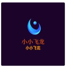 小小飞龙加盟