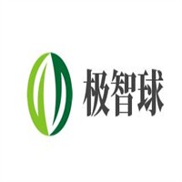 极智球右脑开发加盟