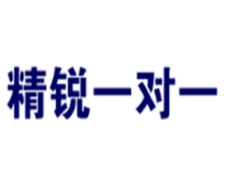 精锐一对一教育加盟