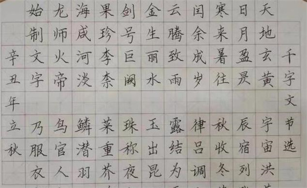 品型练字教育培训
