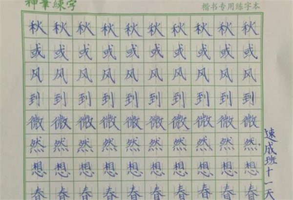 晨曦练字