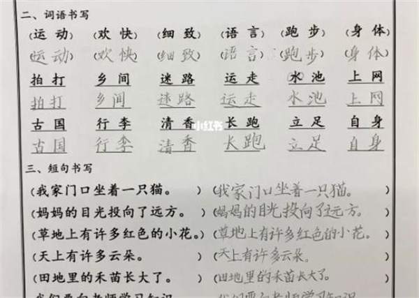 奇点格练字