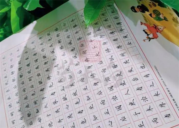 ​荀木白练字