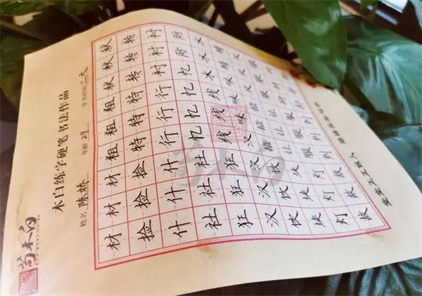​荀木白练字