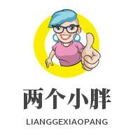 两个小胖小火锅加盟