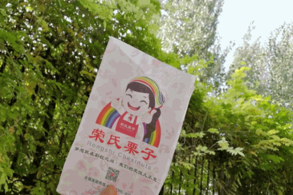荣氏栗子