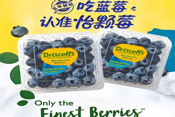 Driscoll's 怡颗莓加盟