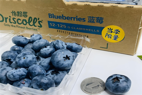Driscoll's 怡颗莓加盟