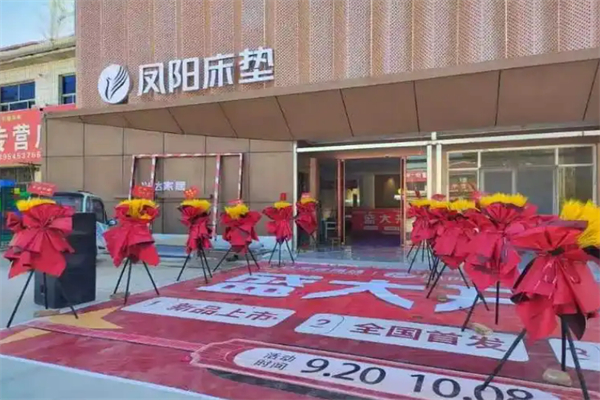 凤阳床垫加盟