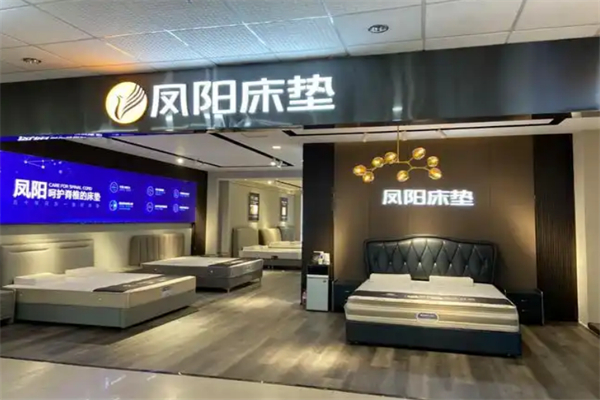 凤阳床垫加盟