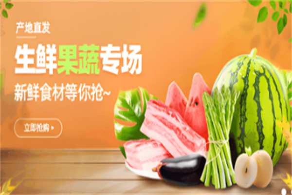 苏东坡生鲜加盟