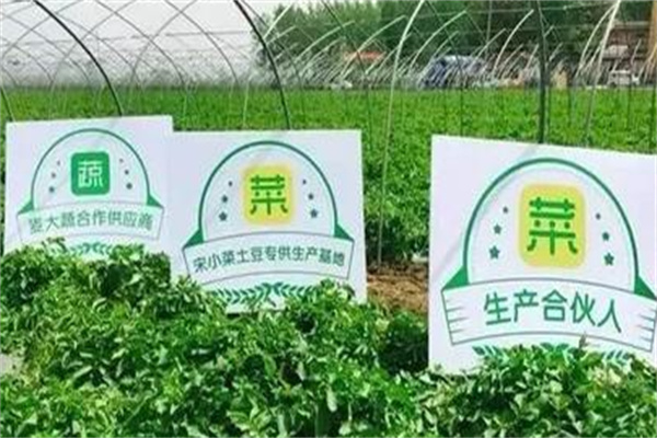 宋小菜生鲜加盟