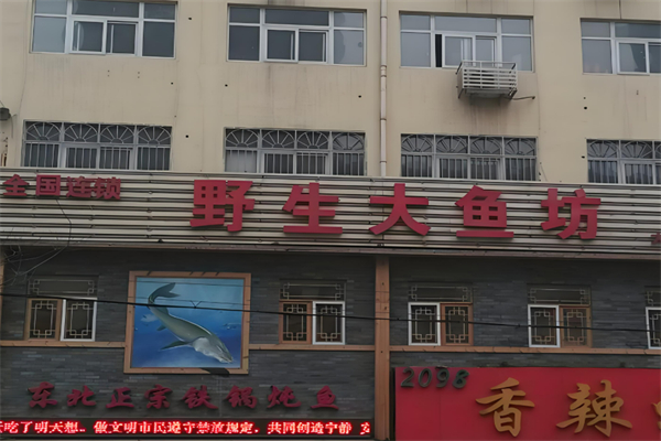 野生大鱼坊加盟