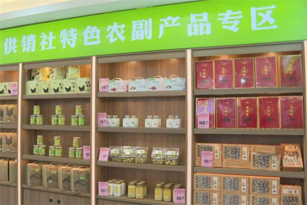 农村供销合作社超市加盟