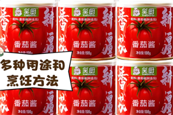 笑厨调料加盟