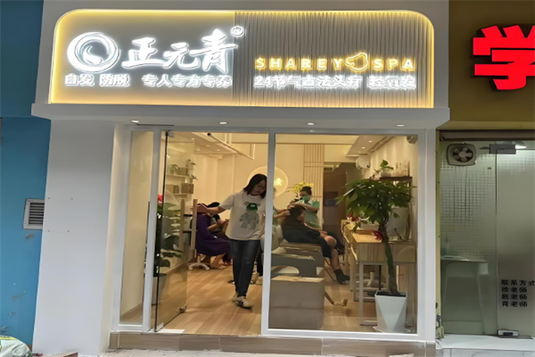 正元青化妆品加盟