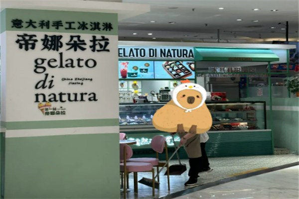 帝娜朵拉冰激凌加盟