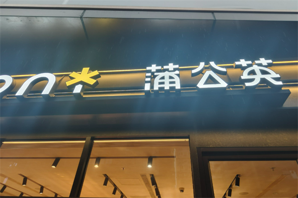 蒲公英5.5元休闲食品加盟
