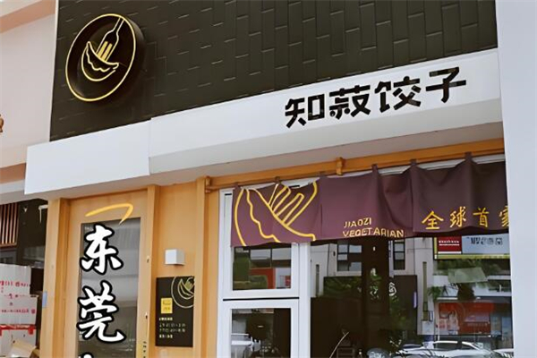 知菽饺子加盟