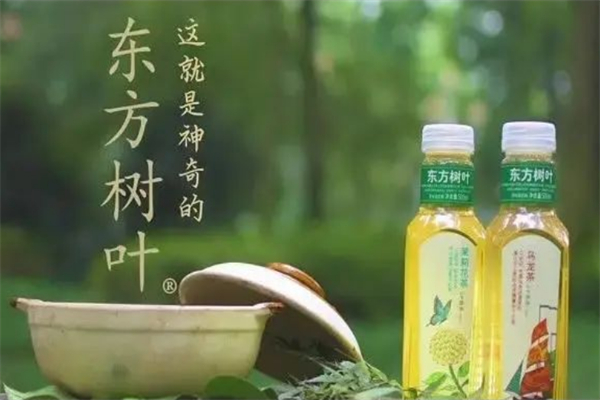 东方树叶饮料加盟