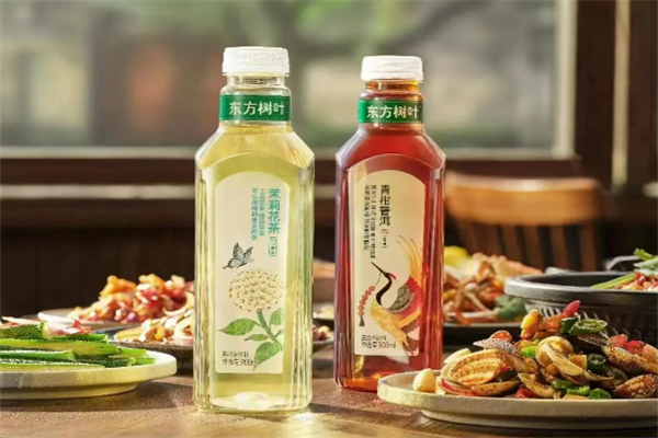 东方树叶饮料加盟