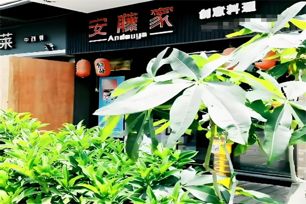 安藤家拉面加盟