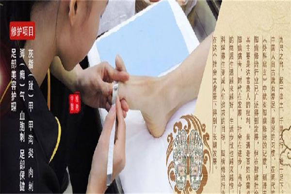 郑远元品牌图片
