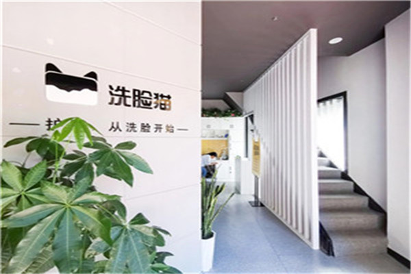 洗脸猫洗脸吧品牌图片