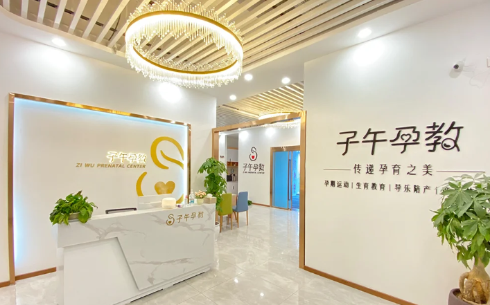 全国公认的十大产后修复加盟品牌一览及对比