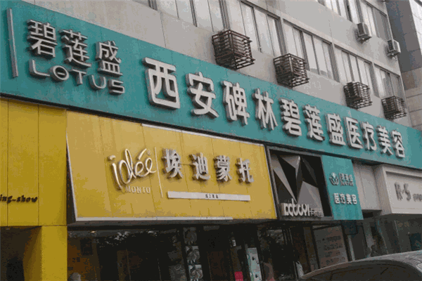 碧莲盛植发品牌图片