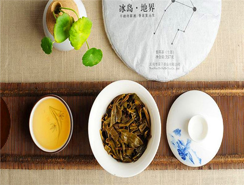 大益普洱茶