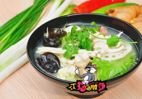 丁丁猫啵啵鱼