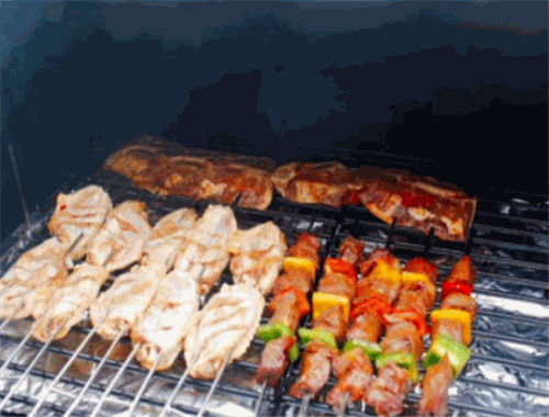 保护林户外BBQ