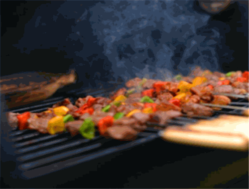 保护林户外BBQ