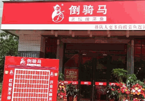 倒骑马酸菜小鱼