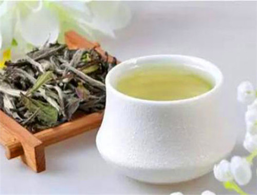 易衡草木饮品