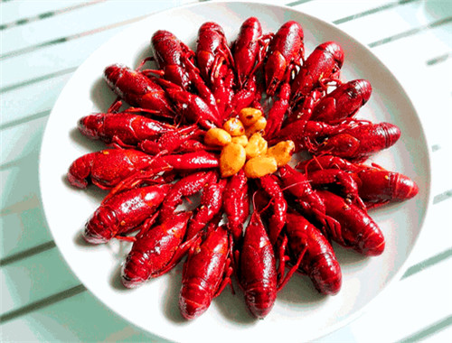 丁丁龙虾