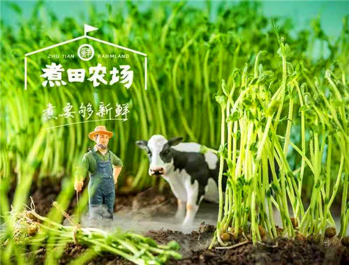煮田农场麻辣烫