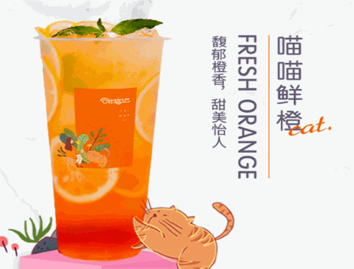 啡猫记