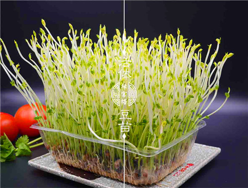 辣宫格老火锅