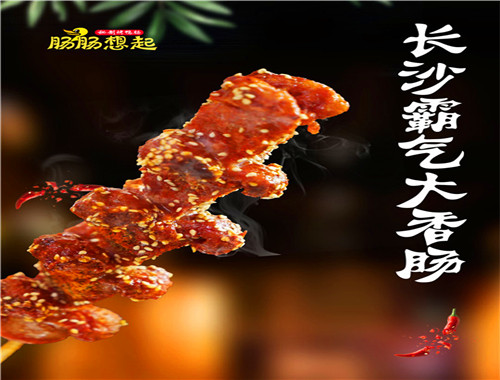 肠肠想起烤鸭肠
