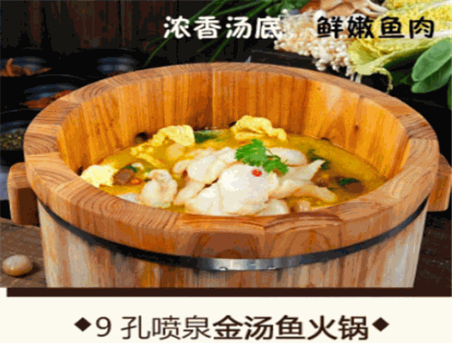 鱼木奇缘