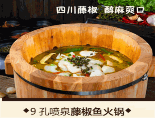 鱼木奇缘