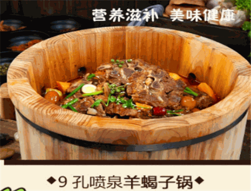鱼木奇缘