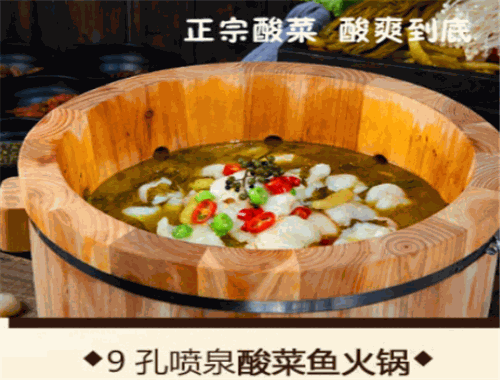 鱼木奇缘